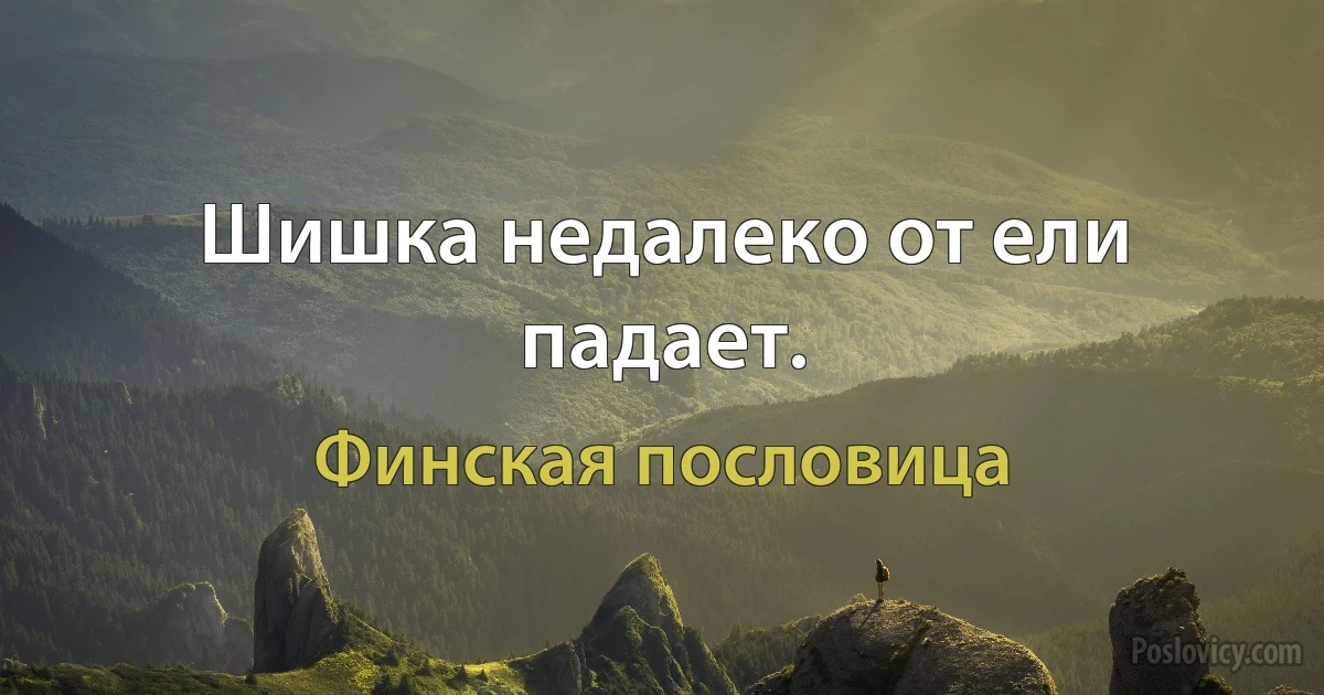 Шишка недалеко от ели падает. (Финская пословица)