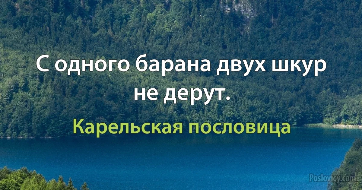 С одного барана двух шкур не дерут. (Карельская пословица)