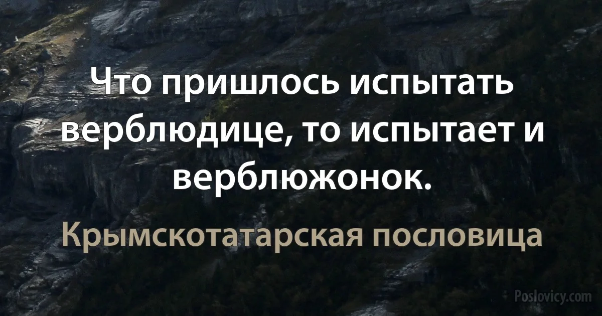 Что пришлось испытать верблюдице, то испытает и верблюжонок. (Крымскотатарская пословица)