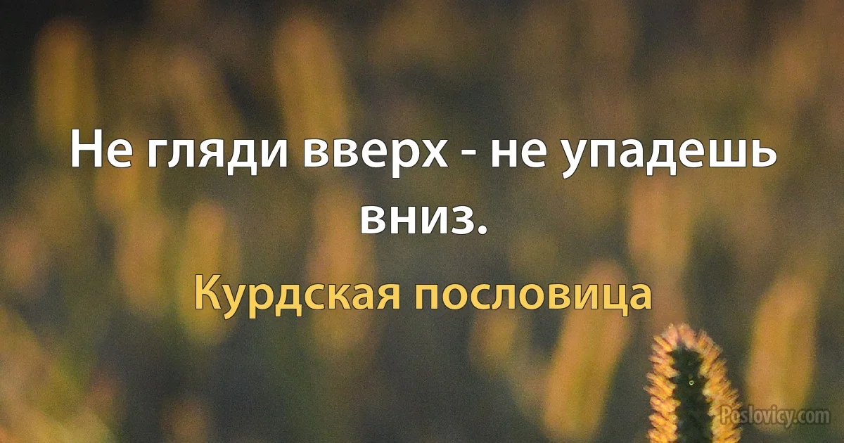 Не гляди вверх - не упадешь вниз. (Курдская пословица)