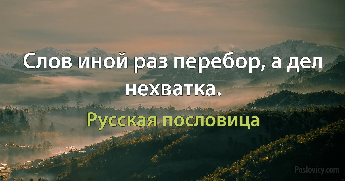 Слов иной раз перебор, а дел нехватка. (Русская пословица)