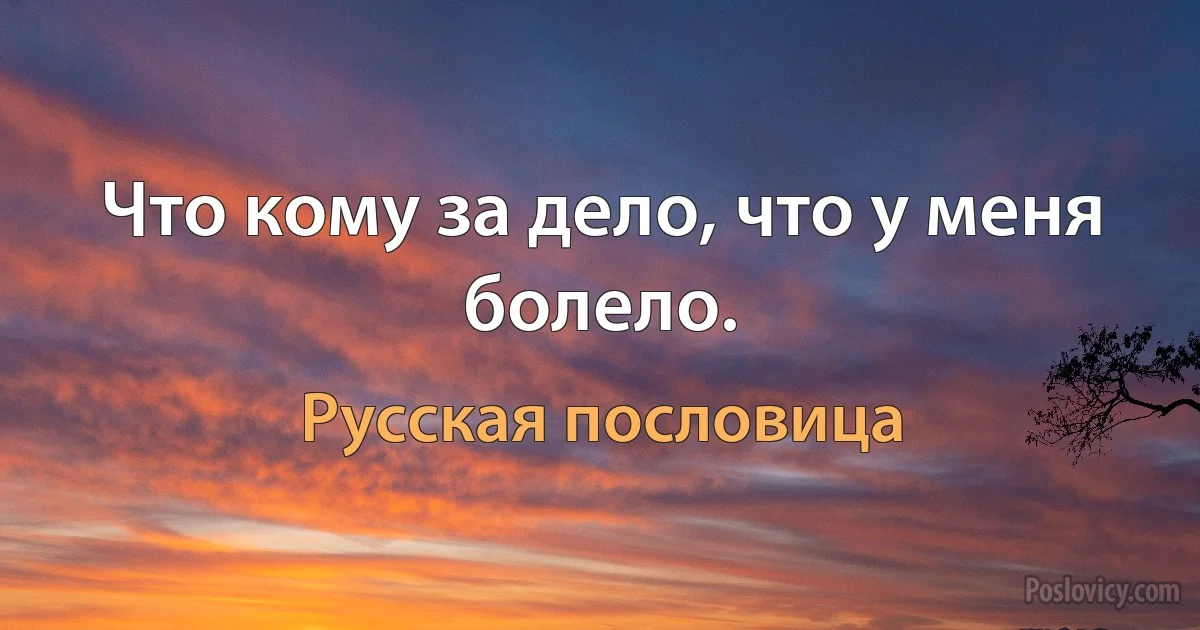 Что кому за дело, что у меня болело. (Русская пословица)