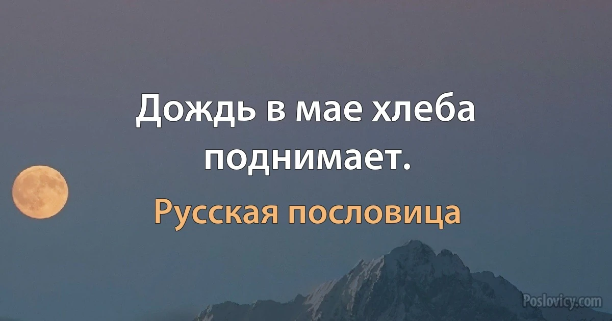 Дождь в мае хлеба поднимает. (Русская пословица)