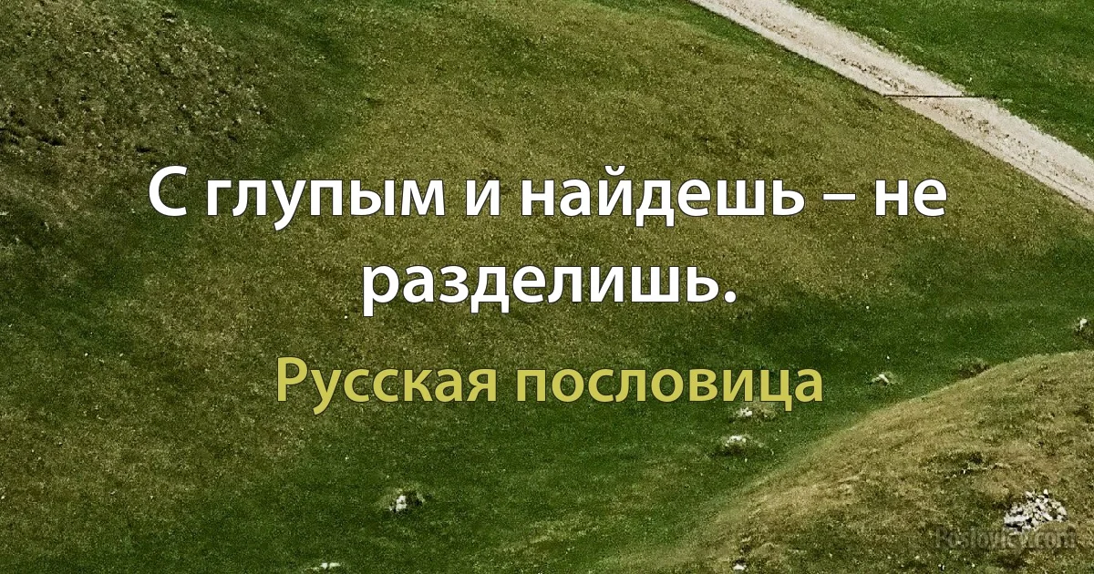 С глупым и найдешь – не разделишь. (Русская пословица)