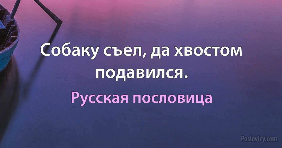 Собаку съел, да хвостом подавился. (Русская пословица)