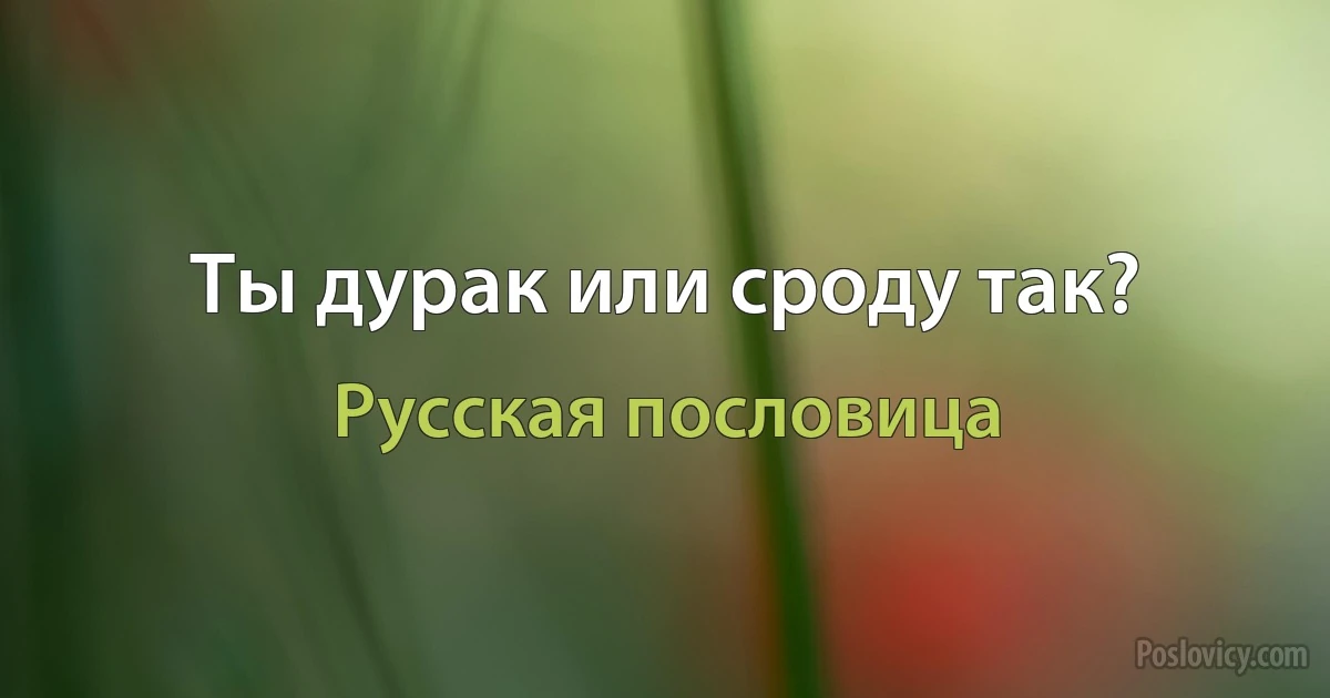 Ты дурак или сроду так? (Русская пословица)