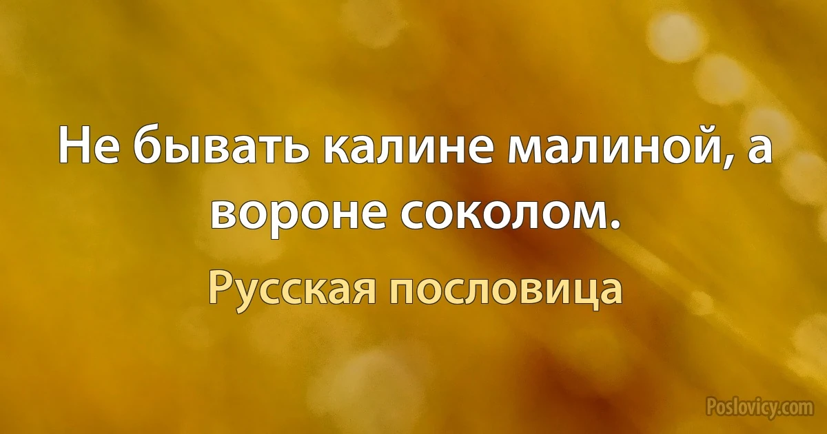 Не бывать калине малиной, а вороне соколом. (Русская пословица)