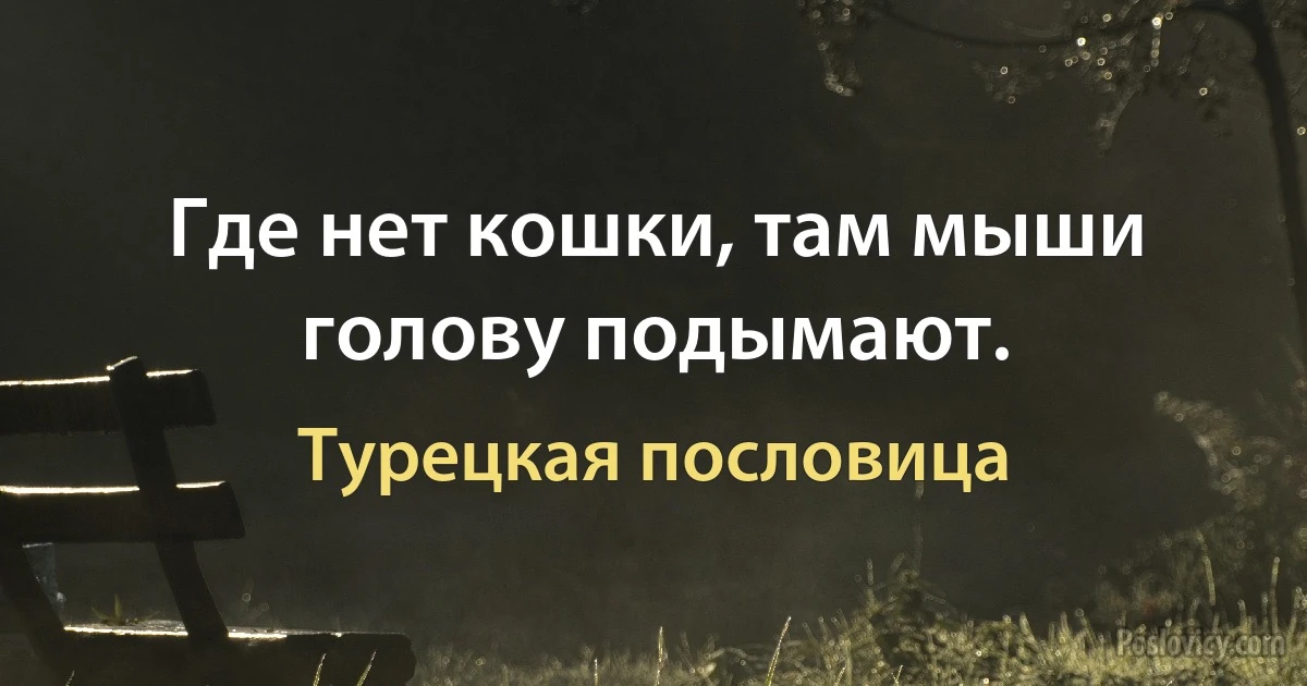 Где нет кошки, там мыши голову подымают. (Турецкая пословица)