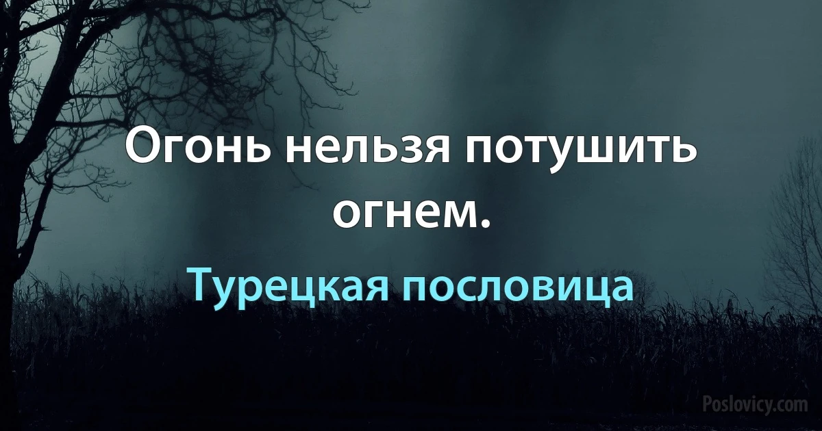 Огонь нельзя потушить огнем. (Турецкая пословица)