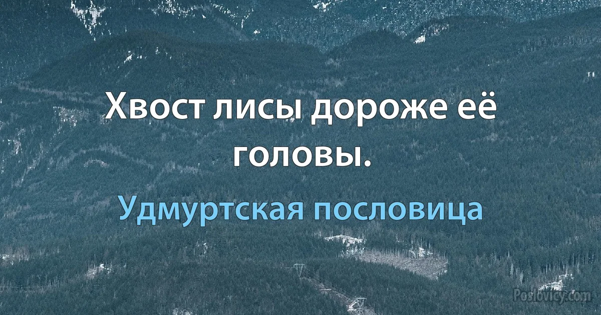 Хвост лисы дороже её головы. (Удмуртская пословица)