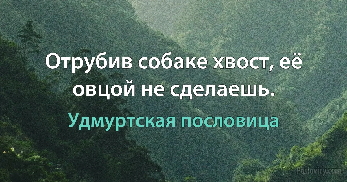 Отрубив собаке хвост, её овцой не сделаешь. (Удмуртская пословица)