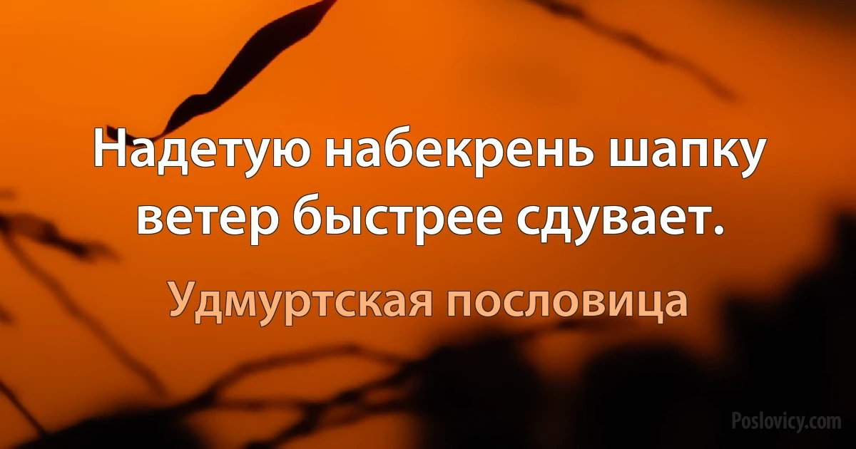 Надетую набекрень шапку ветер быстрее сдувает. (Удмуртская пословица)