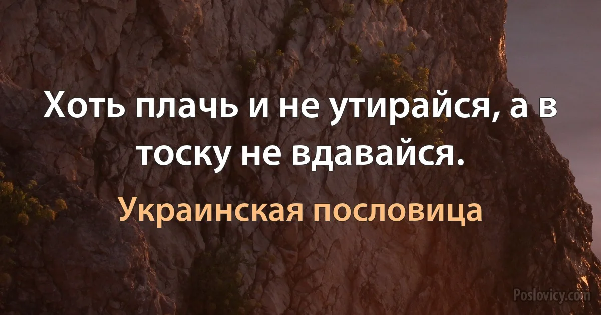 Хоть плачь и не утирайся, а в тоску не вдавайся. (Украинская пословица)