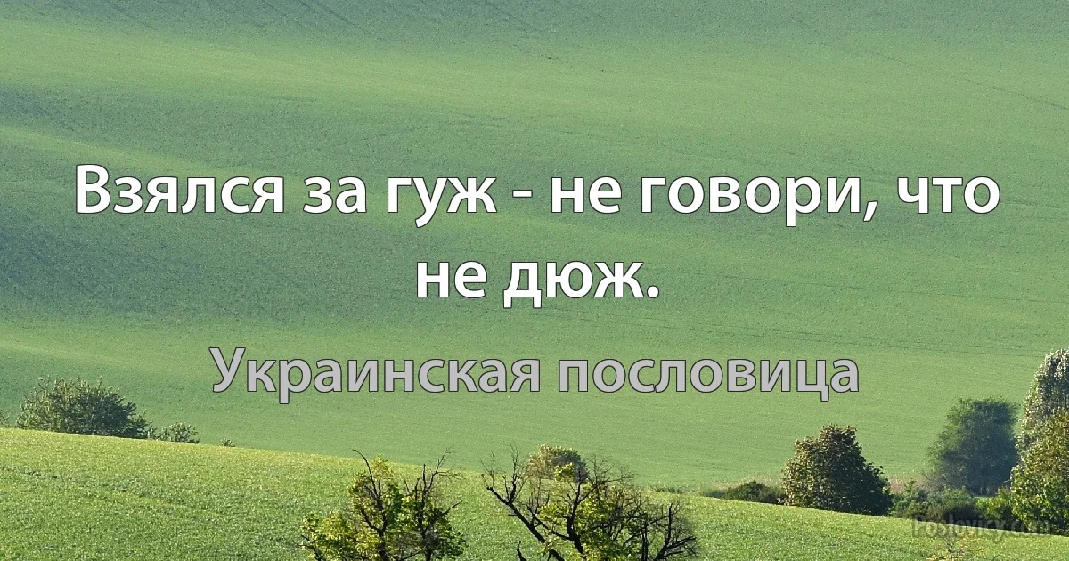 Взялся за гуж - не говори, что не дюж. (Украинская пословица)