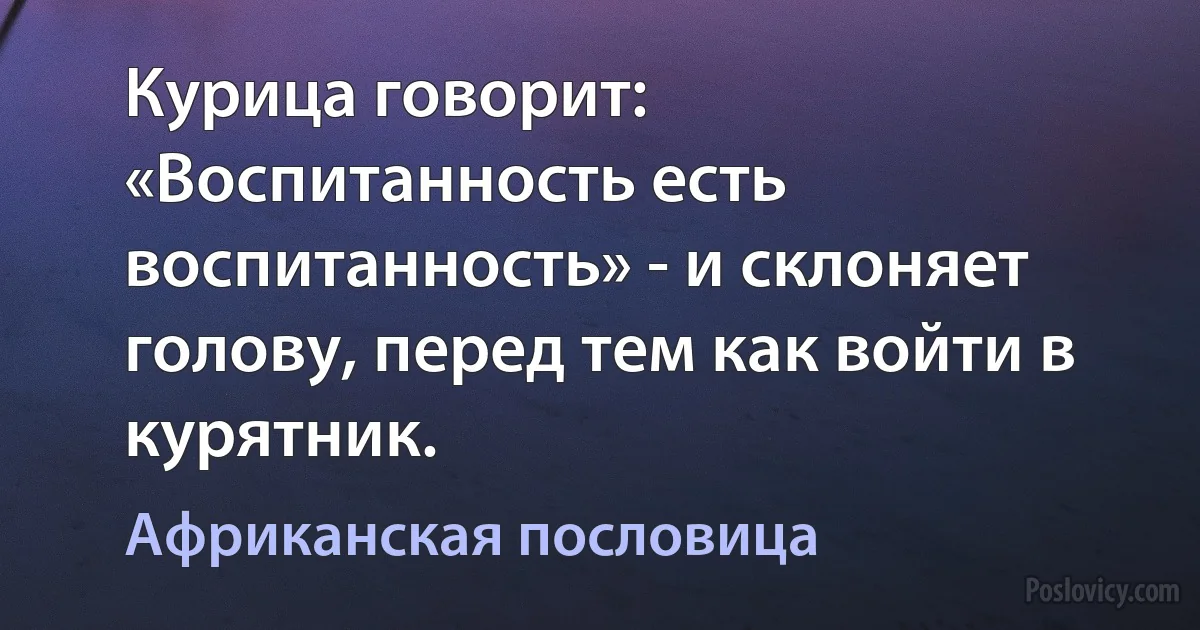 Курица говорит: «Воспитанность есть воспитанность» - и склоняет голову, перед тем как войти в курятник. (Африканская пословица)