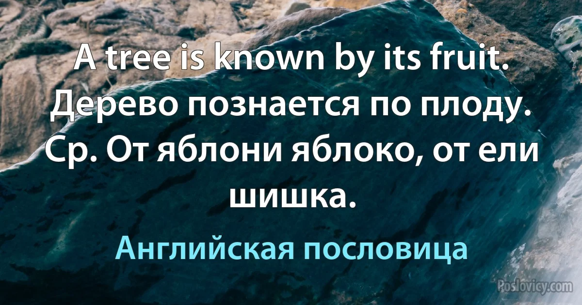 A tree is known by its fruit. Дерево познается по плоду. Ср. От яблони яблоко, от ели шишка. (Английская пословица)