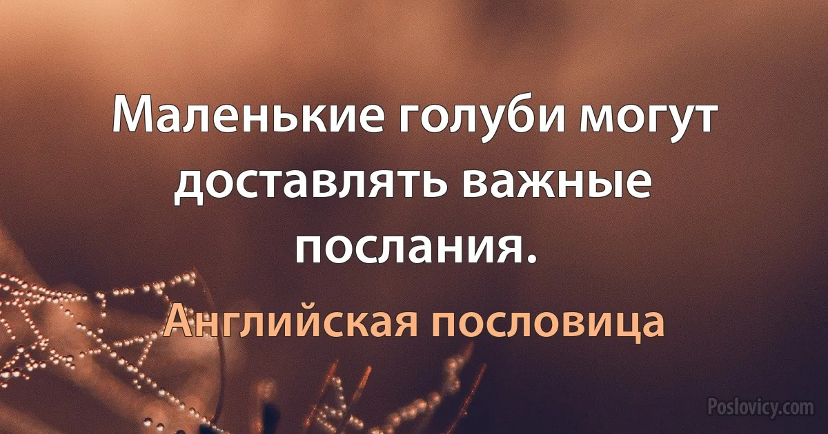 Маленькие голуби могут доставлять важные послания. (Английская пословица)