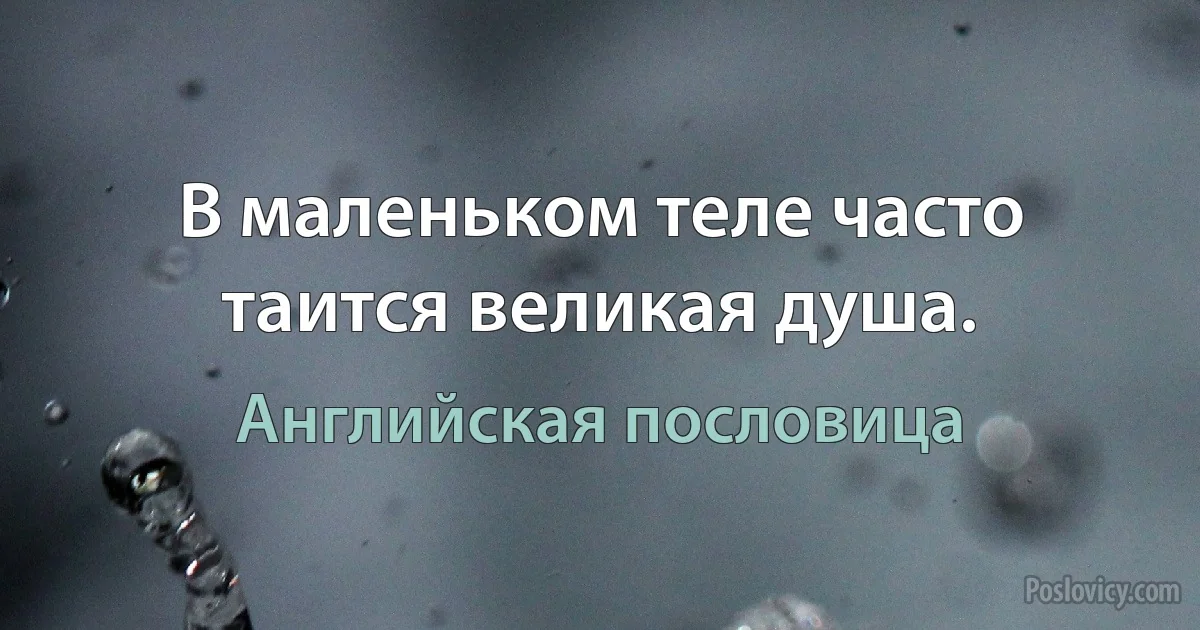 В маленьком теле часто таится великая душа. (Английская пословица)