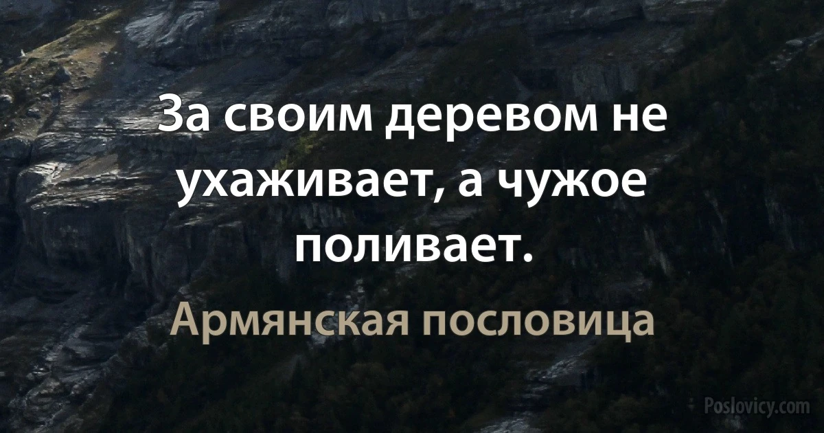 За своим деревом не ухаживает, а чужое поливает. (Армянская пословица)