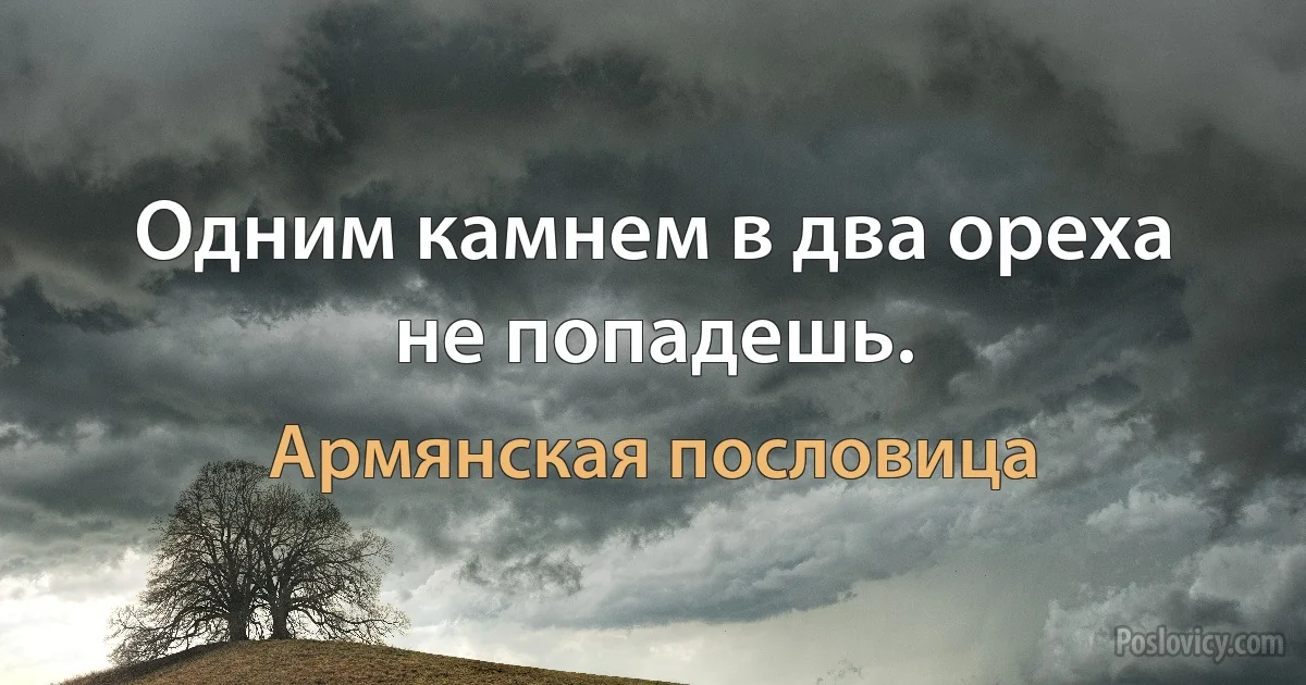 Одним камнем в два ореха не попадешь. (Армянская пословица)