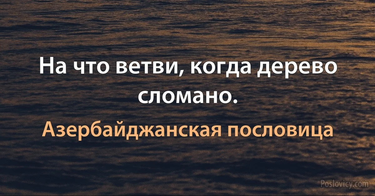 На что ветви, когда дерево сломано. (Азербайджанская пословица)