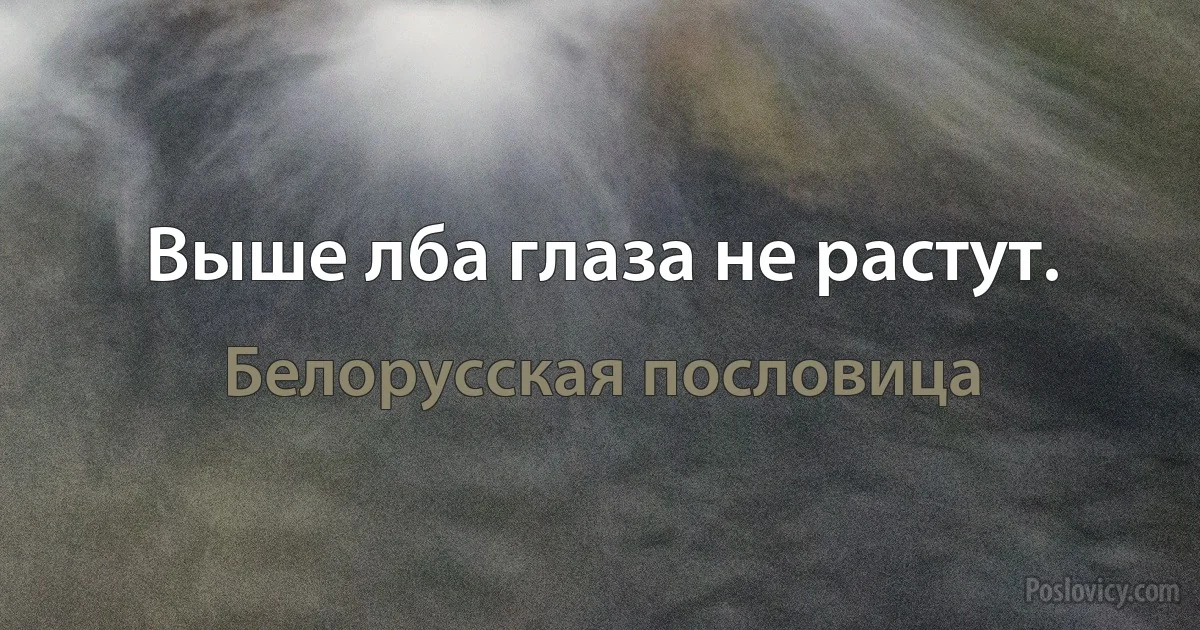 Выше лба глаза не растут. (Белорусская пословица)