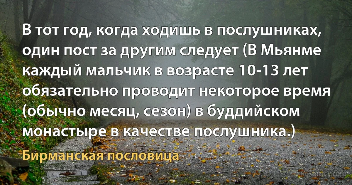 В тот год, когда ходишь в послушниках, один пост за другим следует (В Мьянме каждый мальчик в возрасте 10-13 лет обязательно проводит некоторое время (обычно месяц, сезон) в буддийском монастыре в качестве послушника.) (Бирманская пословица)