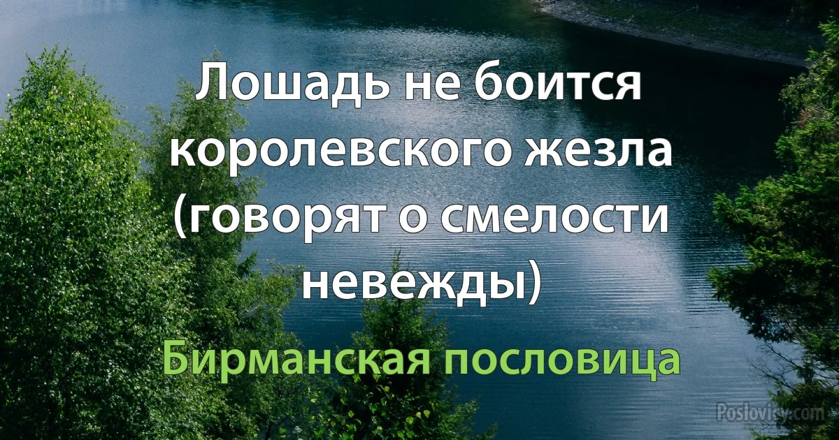 Лошадь не боится королевского жезла (говорят о смелости невежды) (Бирманская пословица)