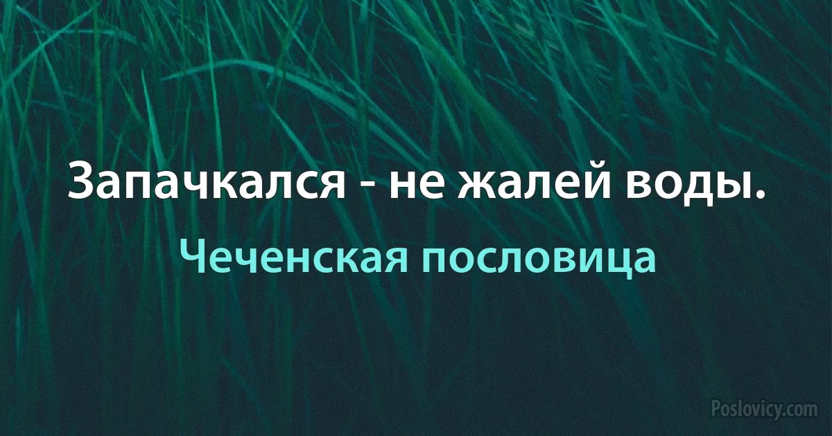 Запачкался - не жалей воды. (Чеченская пословица)