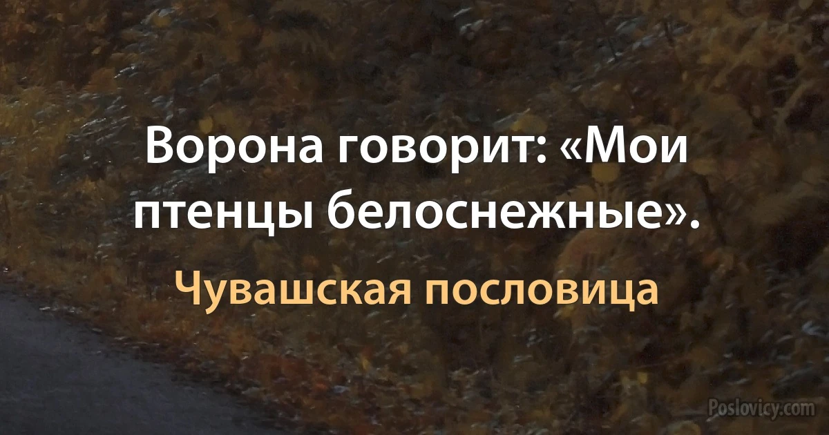 Ворона говорит: «Мои птенцы белоснежные». (Чувашская пословица)