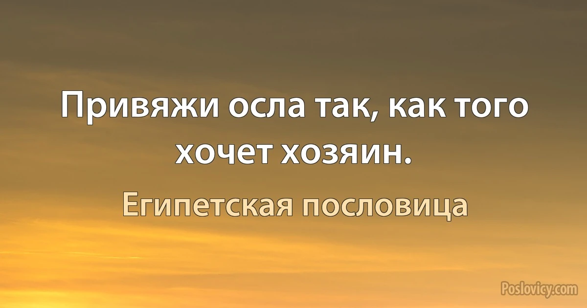 Привяжи осла так, как того хочет хозяин. (Египетская пословица)