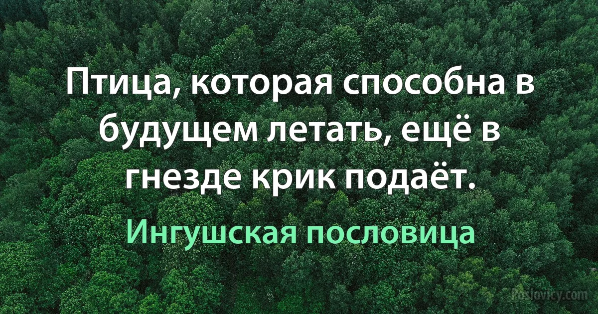 Птица, которая способна в будущем летать, ещё в гнезде крик подаёт. (Ингушская пословица)