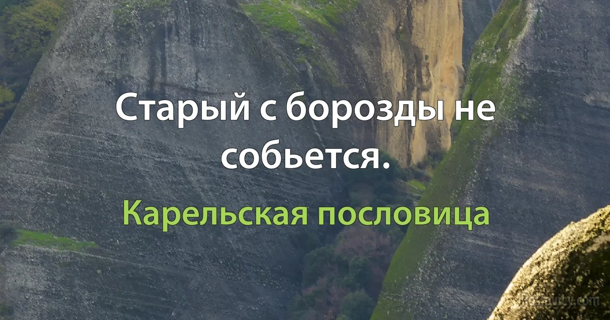 Старый с борозды не собьется. (Карельская пословица)