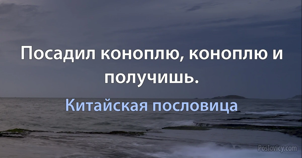 Посадил коноплю, коноплю и получишь. (Китайская пословица)