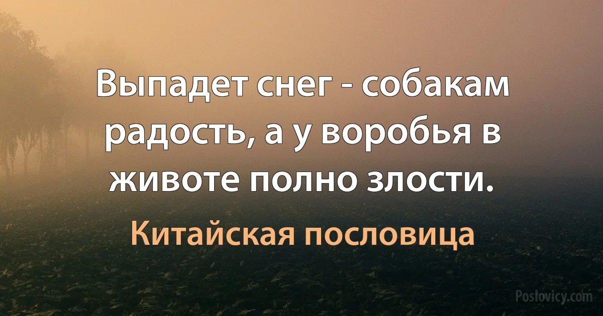 Выпадет снег - собакам радость, а у воробья в животе полно злости. (Китайская пословица)