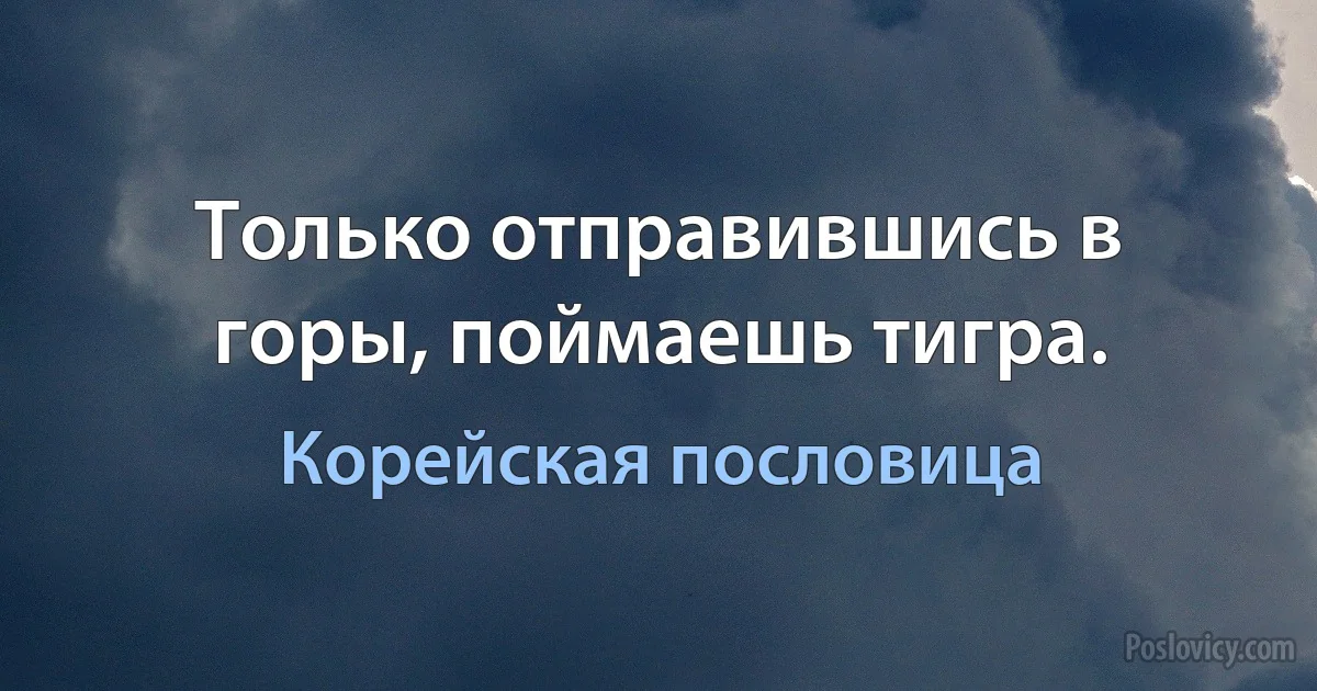 Только отправившись в горы, поймаешь тигра. (Корейская пословица)