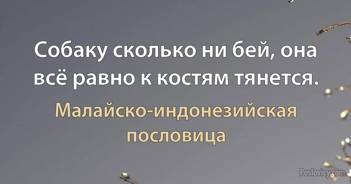 Собаку сколько ни бей, она всё равно к костям тянется. (Малайско-индонезийская пословица)