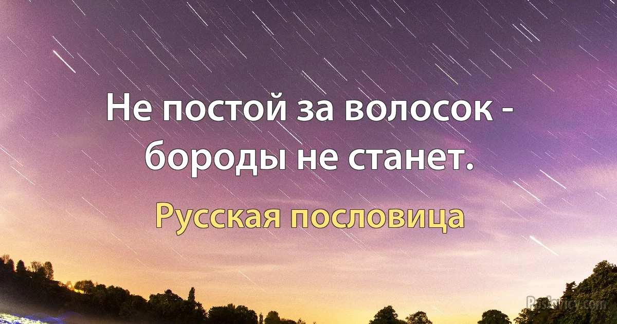 Не постой за волосок - бороды не станет. (Русская пословица)