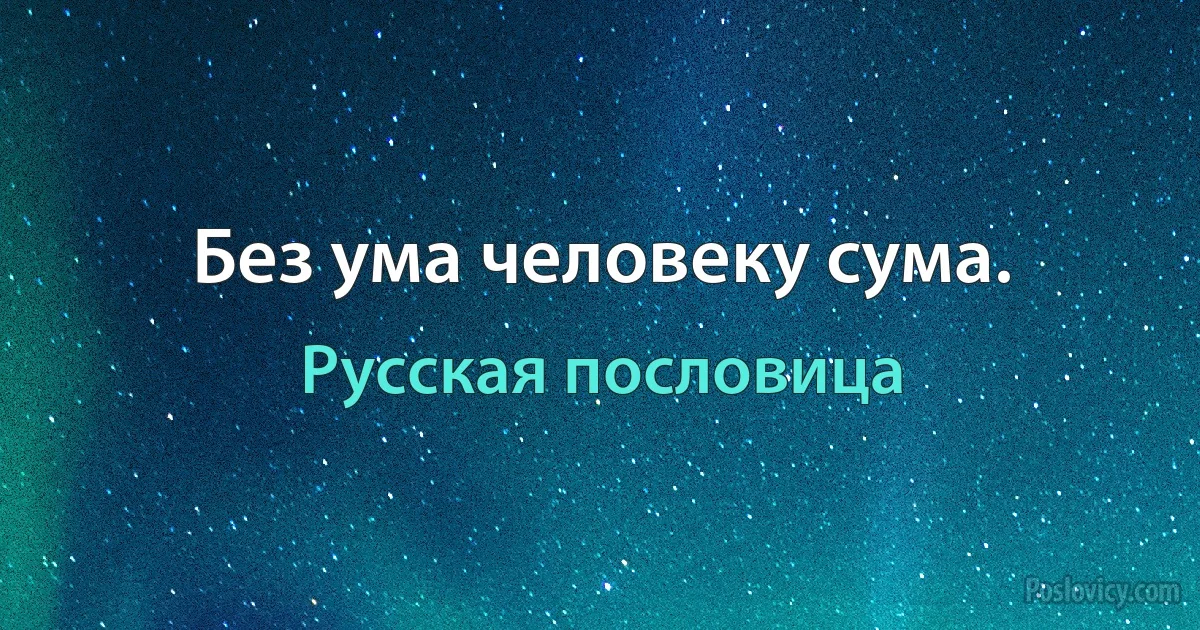 Без ума человеку сума. (Русская пословица)