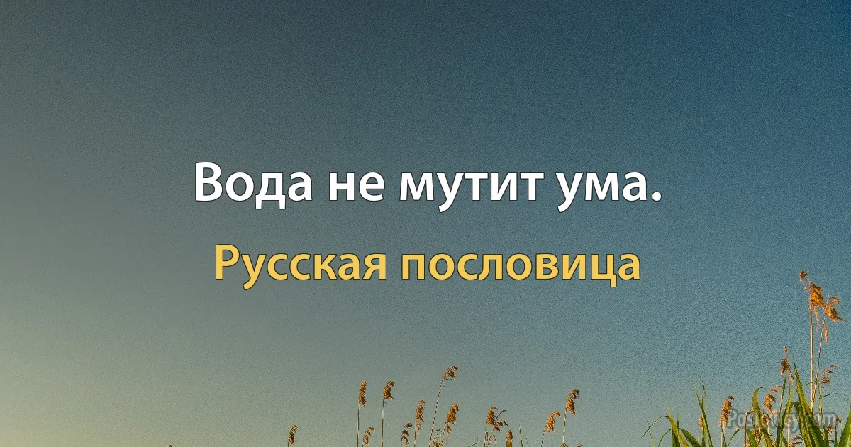 Вода не мутит ума. (Русская пословица)