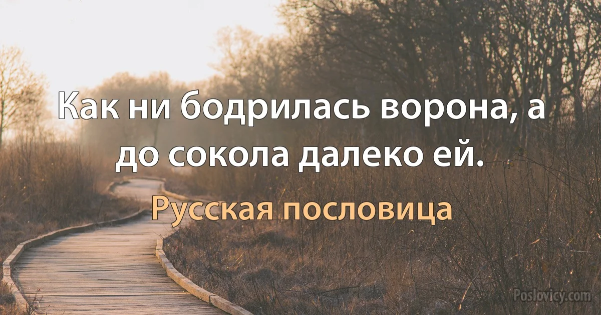 Как ни бодрилась ворона, а до сокола далеко ей. (Русская пословица)