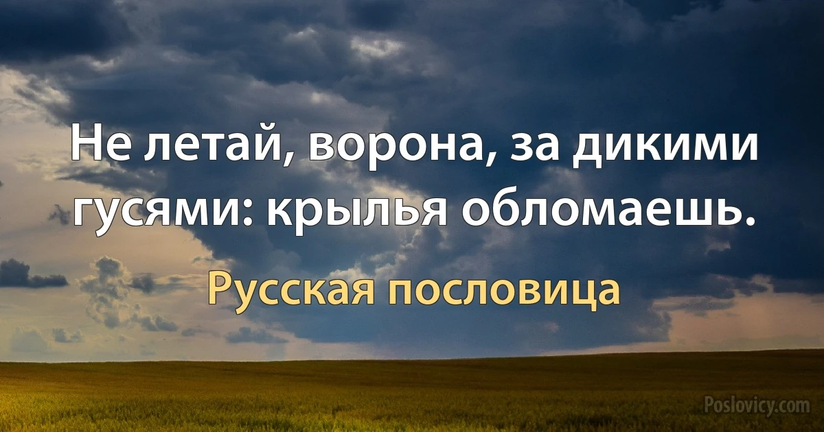 Не летай, ворона, за дикими гусями: крылья обломаешь. (Русская пословица)