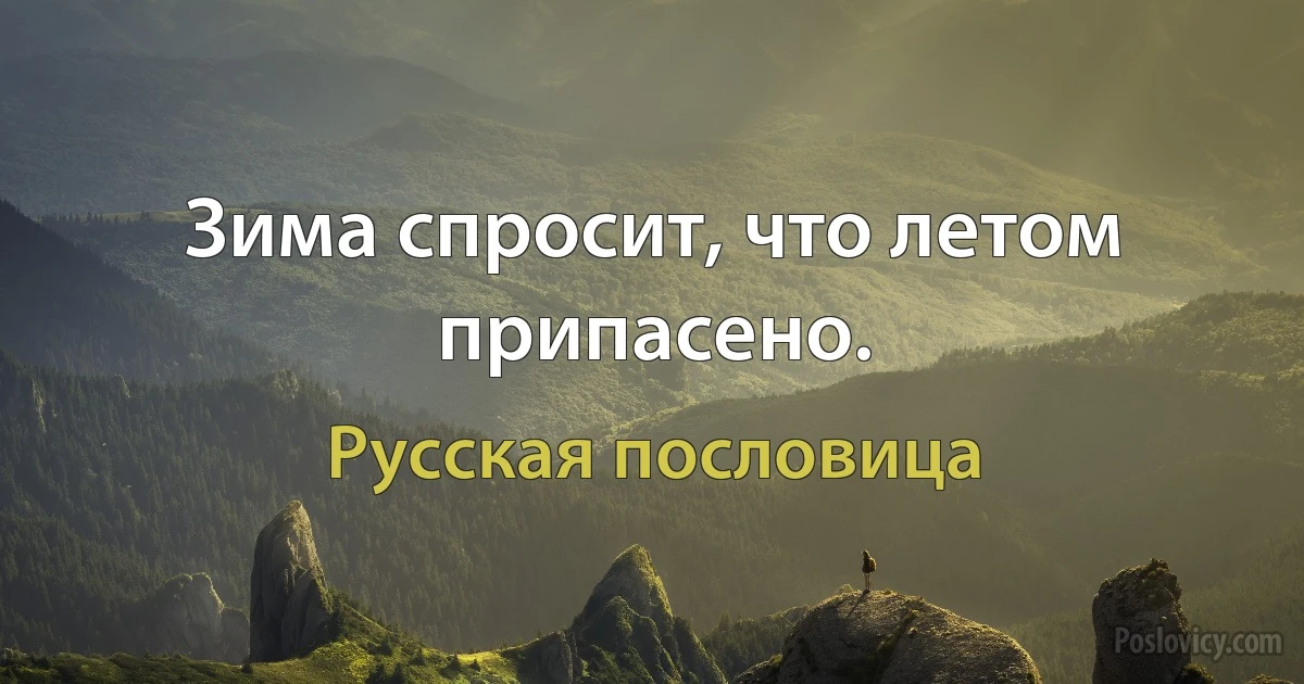 Зима спросит, что летом припасено. (Русская пословица)