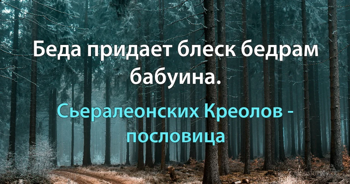 Беда придает блеск бедрам бабуина. (Сьералеонских Креолов - пословица)