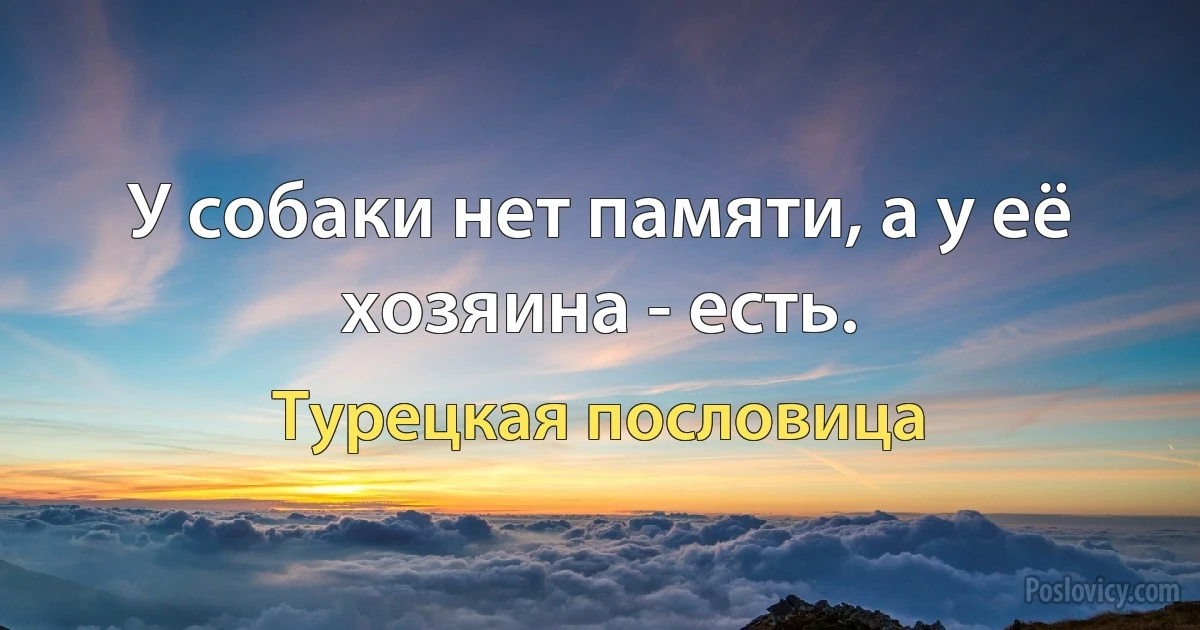 У собаки нет памяти, а у её хозяина - есть. (Турецкая пословица)