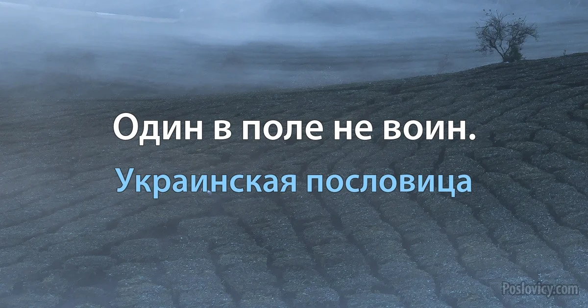 Один в поле не воин. (Украинская пословица)