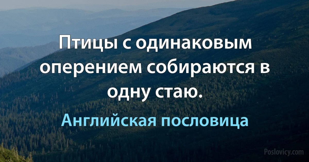 Птицы с одинаковым оперением собираются в одну стаю. (Английская пословица)