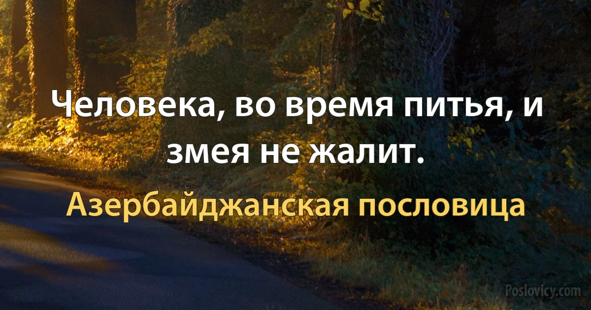 Человека, во время питья, и змея не жалит. (Азербайджанская пословица)