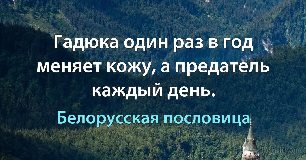 Гадюка один раз в год меняет кожу, а предатель каждый день. (Белорусская пословица)