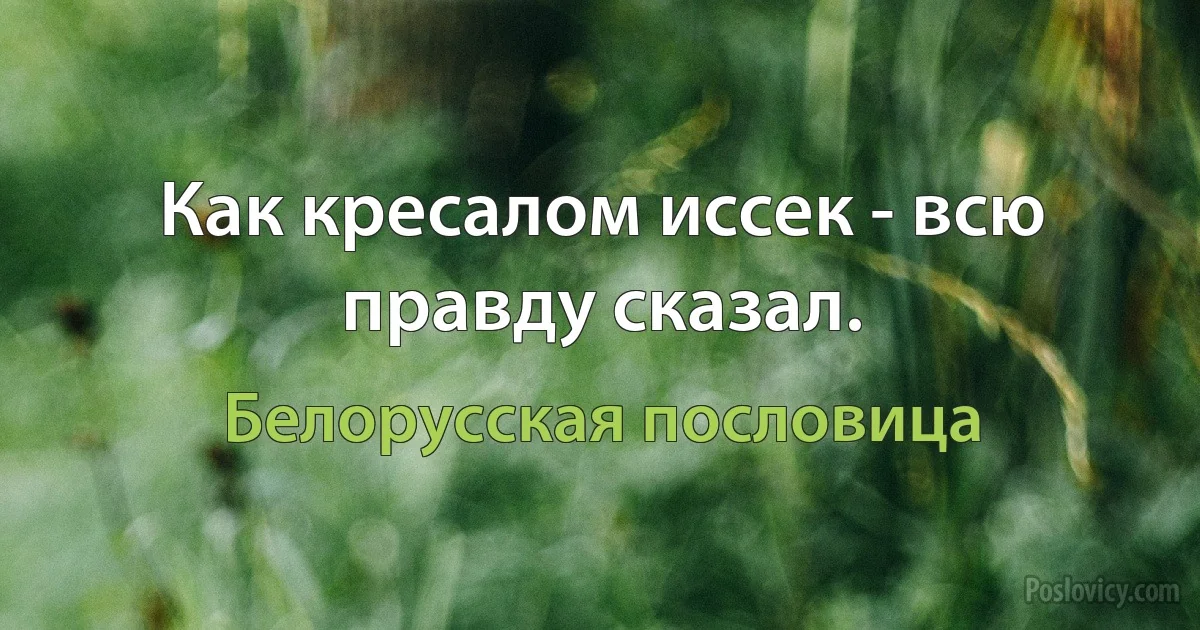 Как кресалом иссек - всю правду сказал. (Белорусская пословица)